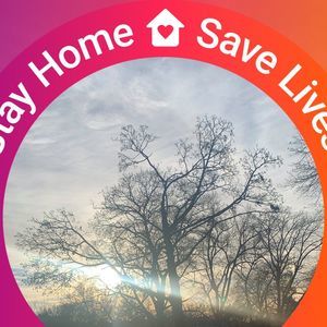 Meet your Posher, Marlin